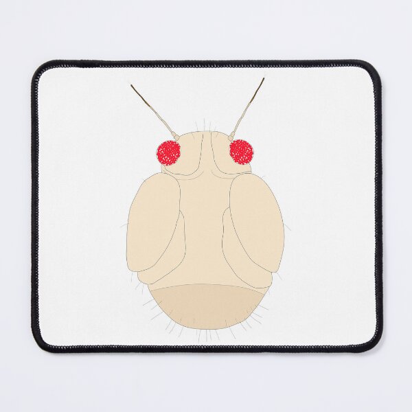 Item preview, Sweet psyllid baby designed and sold by sovuschka.