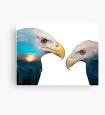 Eagles Canvas Print