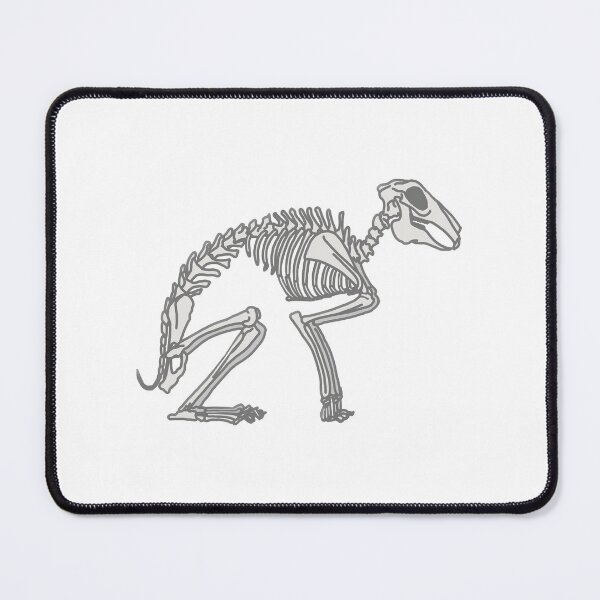 Item preview, Rabbit Anatomy designed and sold by katiek-franklin.