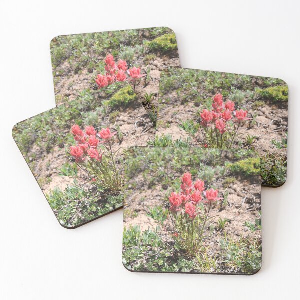 Item preview, Indian Paintbrush II designed and sold by zumi.