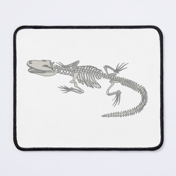 Item preview, Gator Anatomy designed and sold by katiek-franklin.
