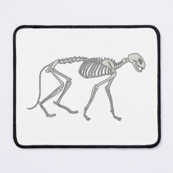 Item preview, Cat Anatomy designed and sold by katiek-franklin.