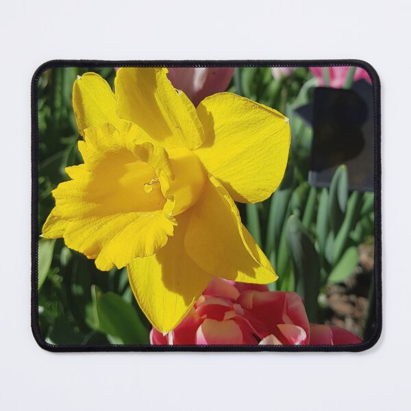 Item preview, Floralia 1 Mar 2022 designed and sold by nastiaart.