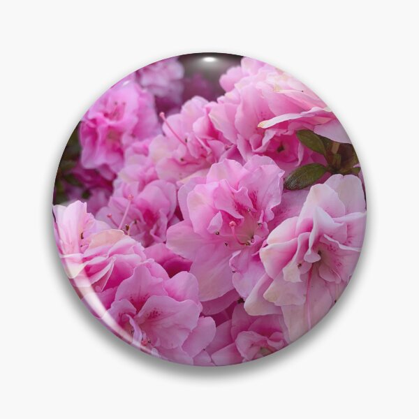 Artikelvorschau, Rosa eleganter japanischer Azaleen-Blumendruck entworfen und verkauft von Kate1art.