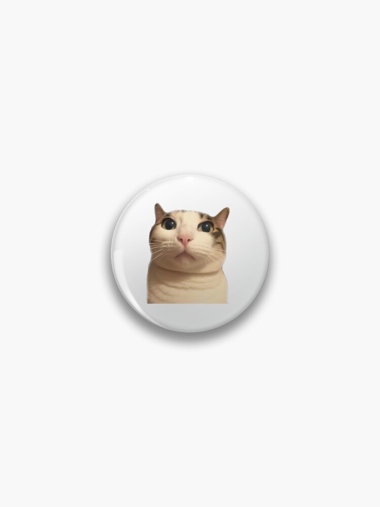 cat meme face, funny cat Sticker for Sale by jassine11