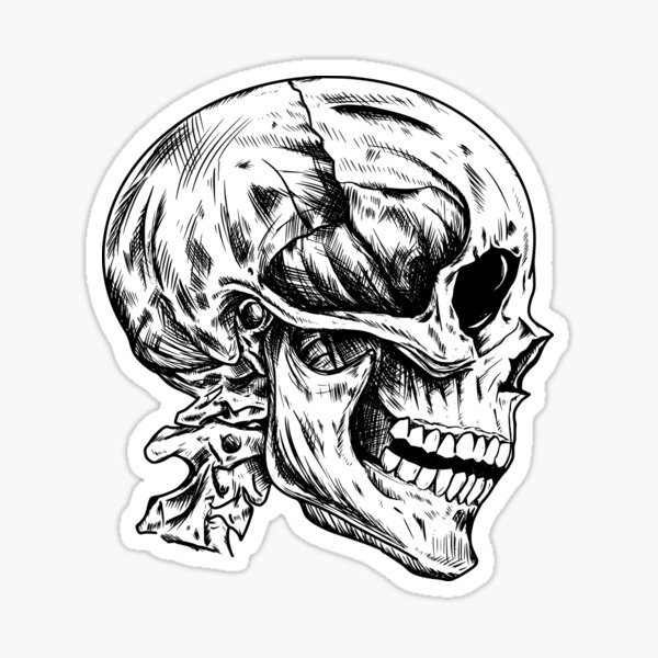Item preview, Skull  designed and sold by cassytvando.