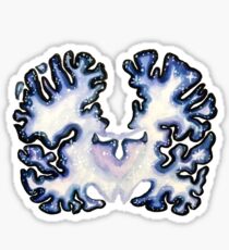 Galaxy Nissl Stain Brain Sticker