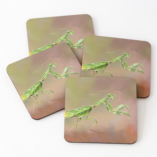 Item preview, Praying Mantis  designed and sold by Glenbobagins.