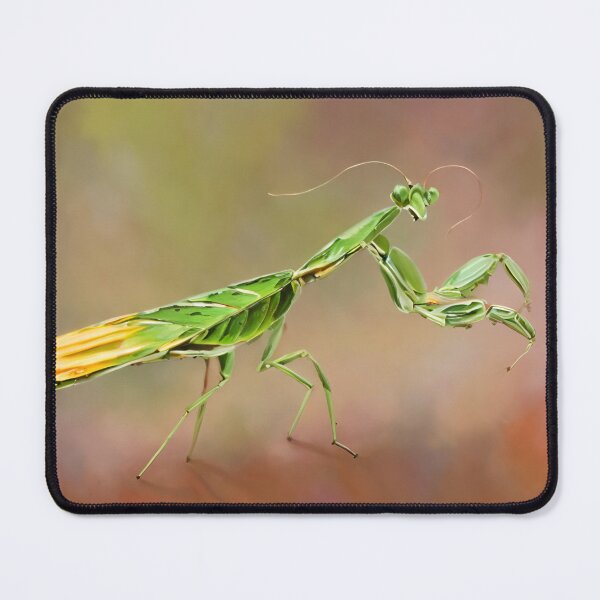 Item preview, Praying Mantis  designed and sold by Glenbobagins.