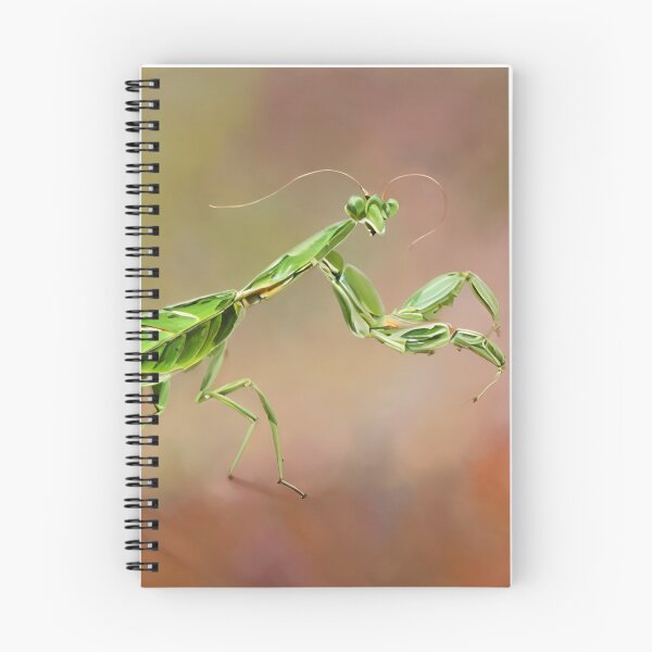 Item preview, Praying Mantis  designed and sold by Glenbobagins.