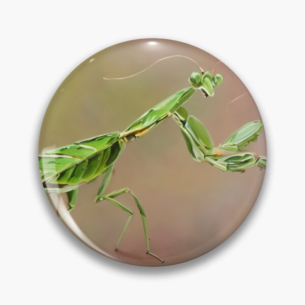 Item preview, Praying Mantis  designed and sold by Glenbobagins.