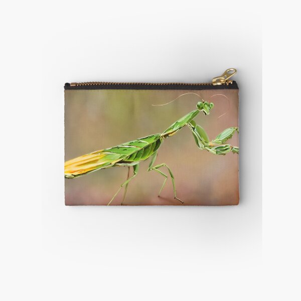 Item preview, Praying Mantis  designed and sold by Glenbobagins.