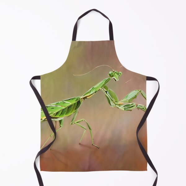 Item preview, Praying Mantis  designed and sold by Glenbobagins.