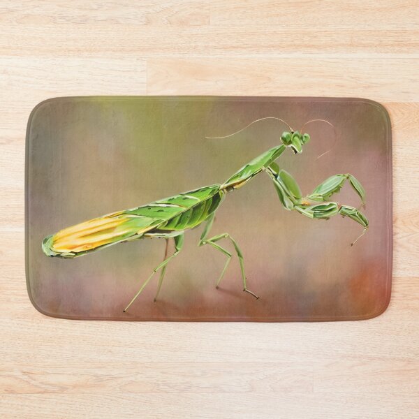 Item preview, Praying Mantis  designed and sold by Glenbobagins.