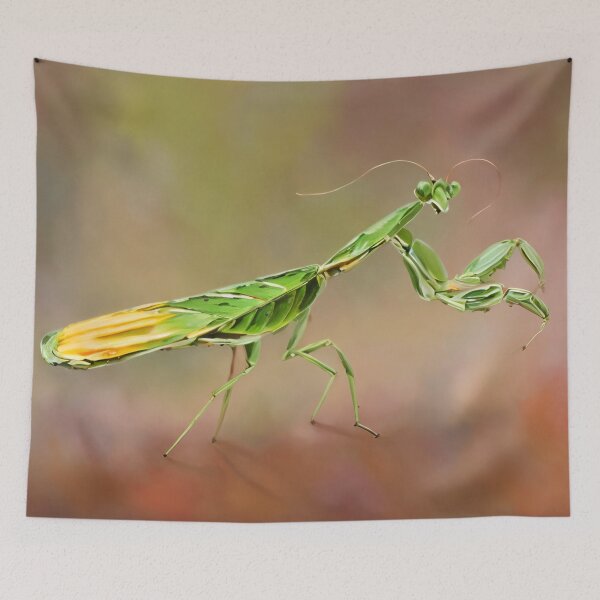 Item preview, Praying Mantis  designed and sold by Glenbobagins.