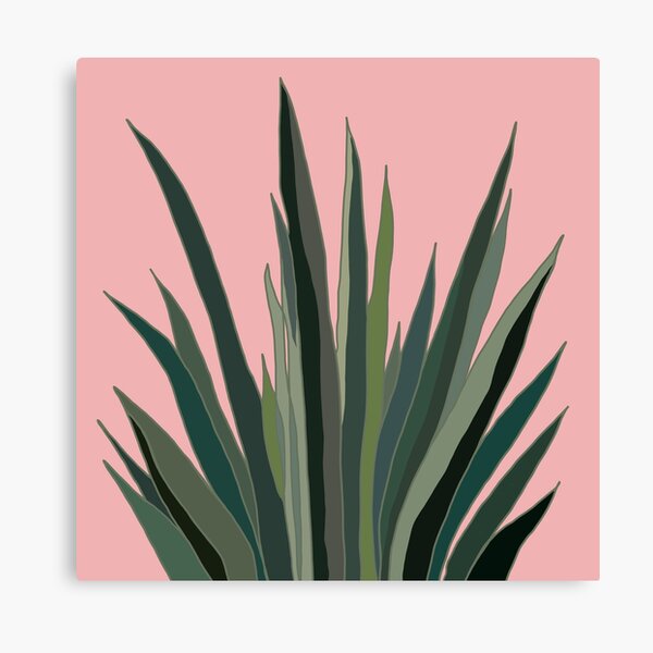 Waxed Canvas - Agave