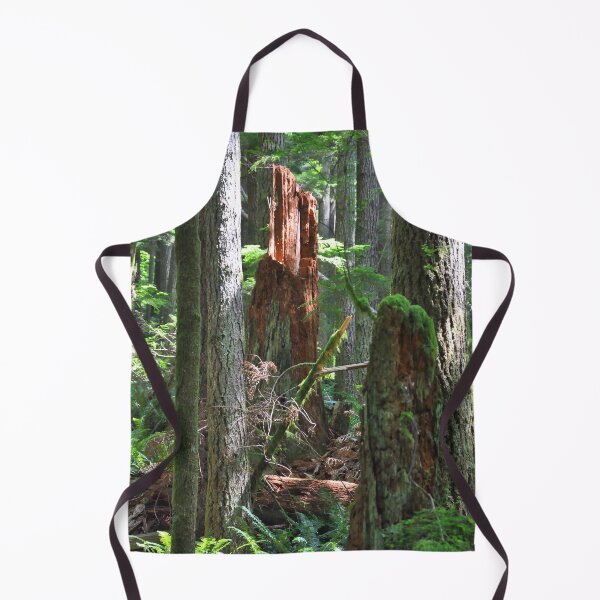 Item preview, Sunlit Forest Stump designed and sold by KirtTisdale.