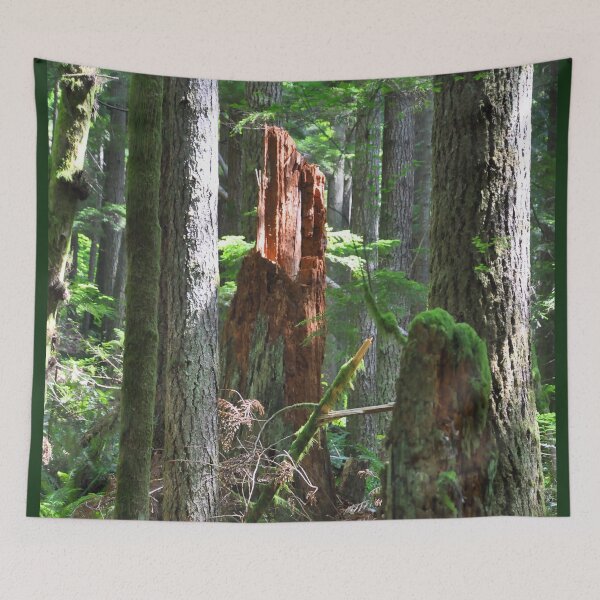 Item preview, Sunlit Forest Stump designed and sold by KirtTisdale.