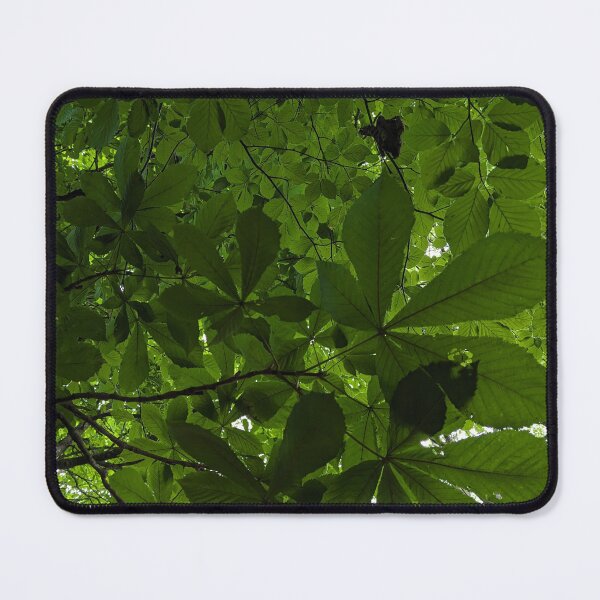 Item preview, Look through the trees designed and sold by Hazel McKinnon.