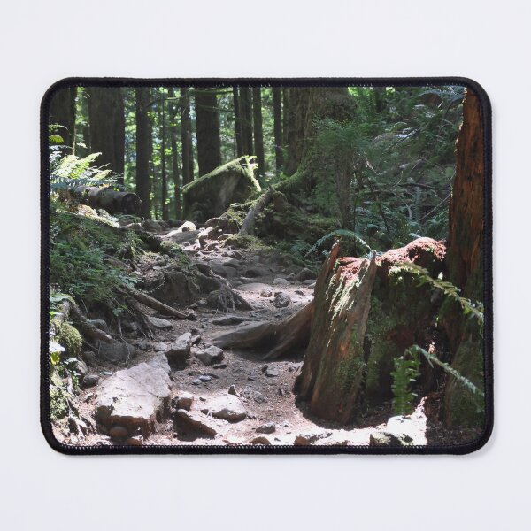 Item preview, Sunlit Forest Trail designed and sold by KirtTisdale.