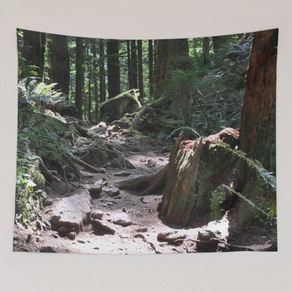 Item preview, Sunlit Forest Trail designed and sold by KirtTisdale.
