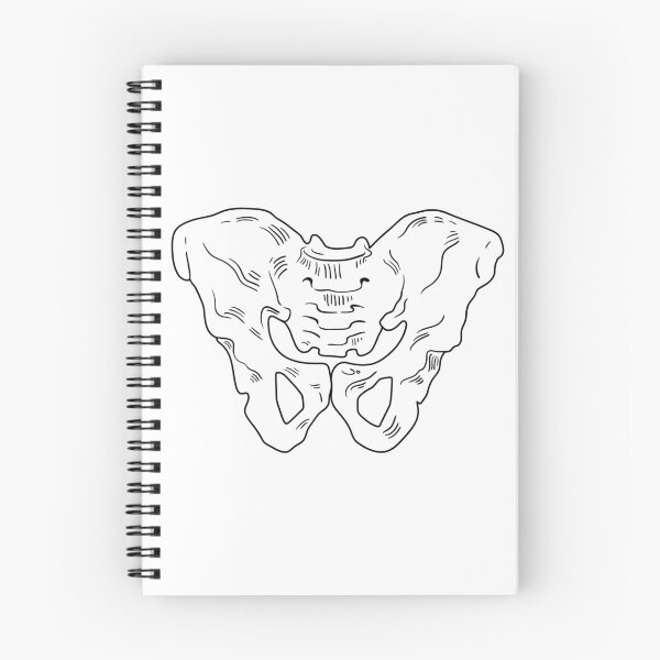 Item preview, Pelvis designed and sold by lena-arting.