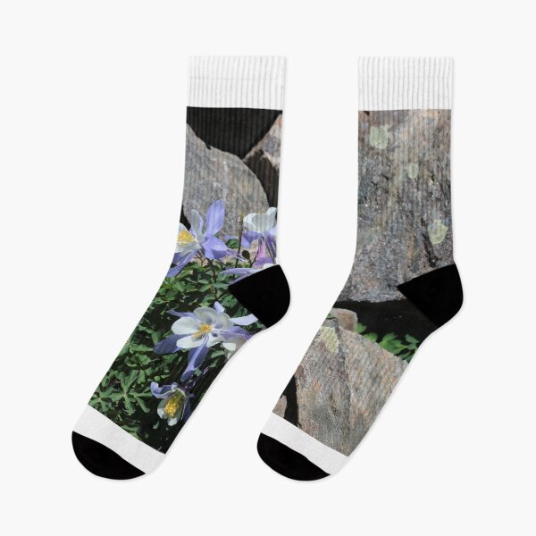 Item preview, Colorado Blue Columbine designed and sold by zumi.