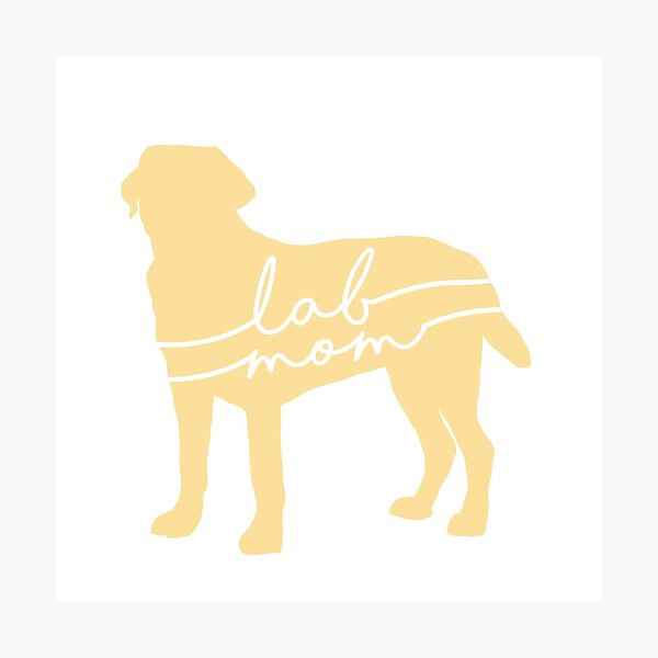 Yellow Lab Mom Photographic Print