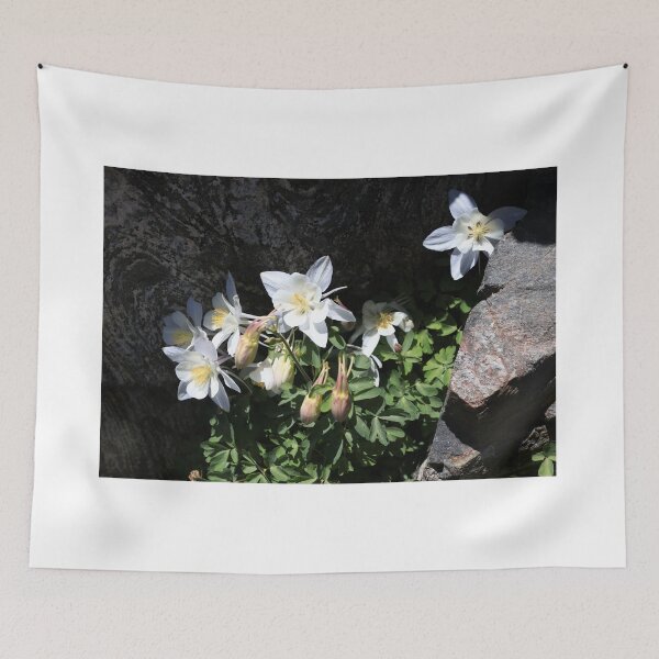 Item preview, Colorado Blue Columbine III designed and sold by zumi.