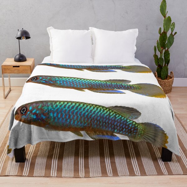 Item preview, Epiplatys guineensis  designed and sold by killies.