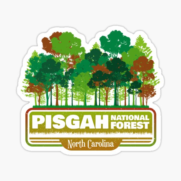 Pisgah National Forest Trees 3 Vinyl Sticker – Starfangled Press