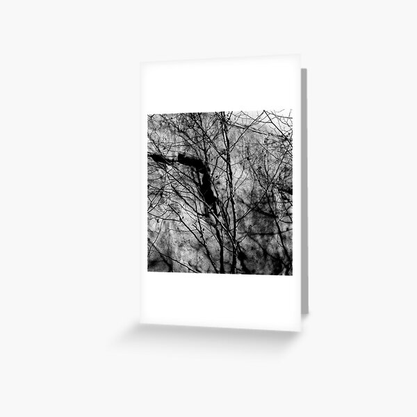 untitled #36 Greeting Card