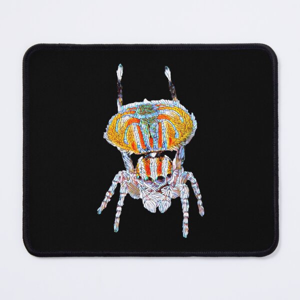 Item preview, Peacock Spider (Maratus volans) Large Design  	 designed and sold by iozvlpdxi17.