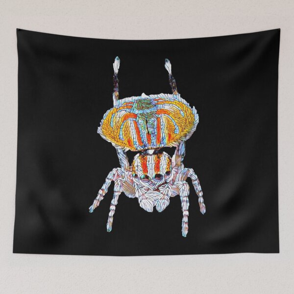 Item preview, Peacock Spider (Maratus volans) Large Design  	 designed and sold by iozvlpdxi17.
