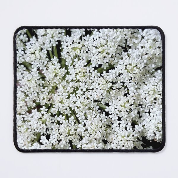Item preview, Queen Anne's Lace designed and sold by bjtomiko.