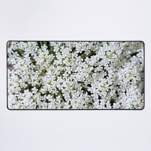 Item preview, Queen Anne's Lace designed and sold by bjtomiko.