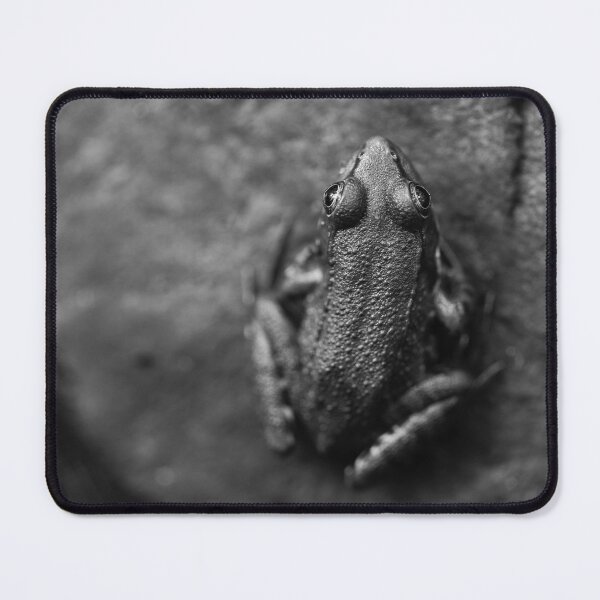 Item preview, Frog on a rock designed and sold by KellyRHarding.