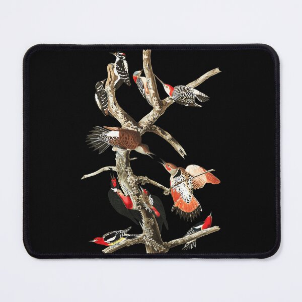 Item preview, John James Audubon - Woodpeckers (Hairy	 designed and sold by ptlpzgxmvd63.