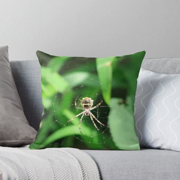 Item preview, Orb Weaver Spider in its Web designed and sold by rhamm.