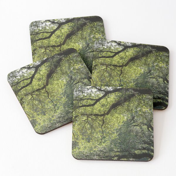 Item preview, Light through the tree branches designed and sold by KellyRHarding.