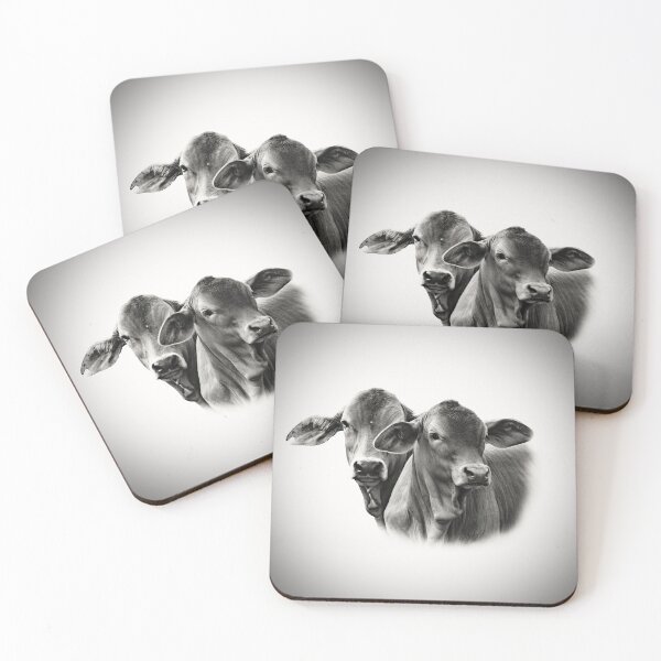 Item preview, BRAHMAN CALVES, FARM ANIMAL, WALL ART AND DESIGNS designed and sold by Barbara Jean Photo Art And Design.