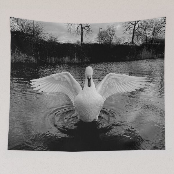 Item preview, Swan Angel • Black and White • II designed and sold by Mortinus.