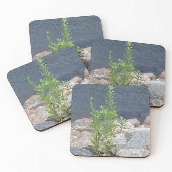 Item preview, Greenery within the rocks designed and sold by KellyRHarding.