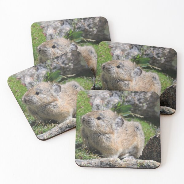 Item preview, Whistling hare designed and sold by zumi.