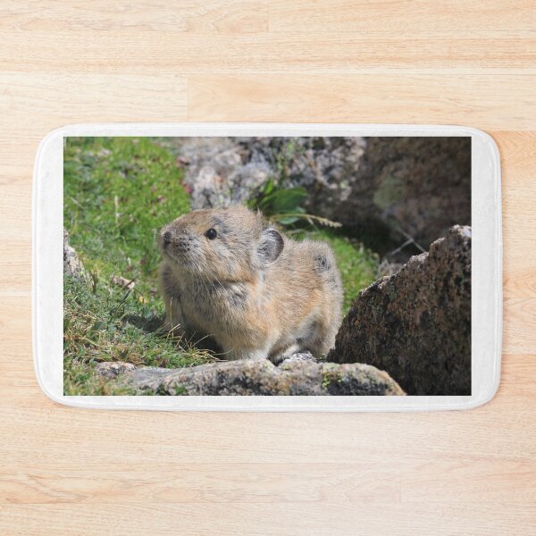 Item preview, Whistling hare designed and sold by zumi.