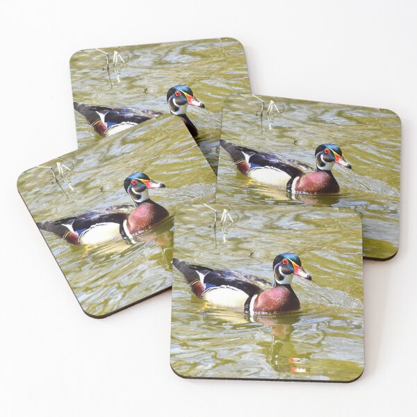 Item preview, Male Wood Duck at Santee Lakes designed and sold by Eleu Tabares.