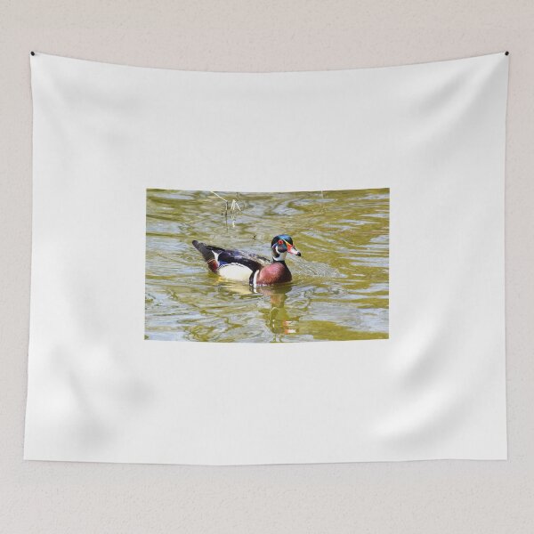 Item preview, Male Wood Duck at Santee Lakes designed and sold by Eleu Tabares.
