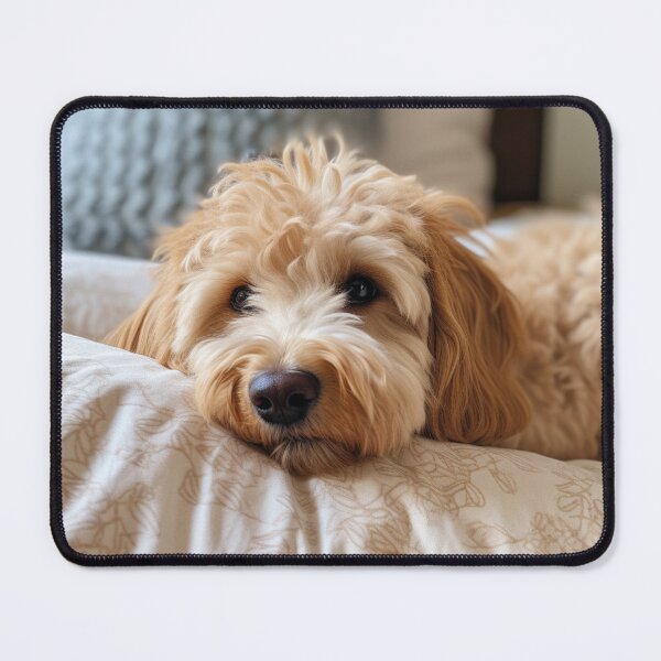 Item preview, Cute Labradoodle designed and sold by AerinDigital.