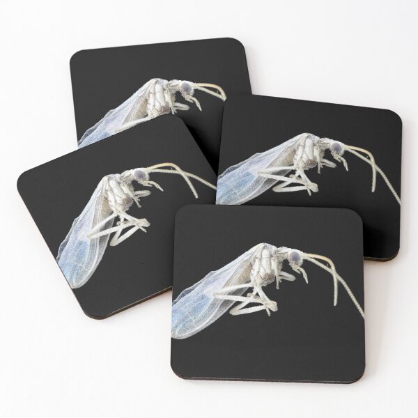 Item preview, Dustywing (Coniopterygidae) designed and sold by SDym Photography.