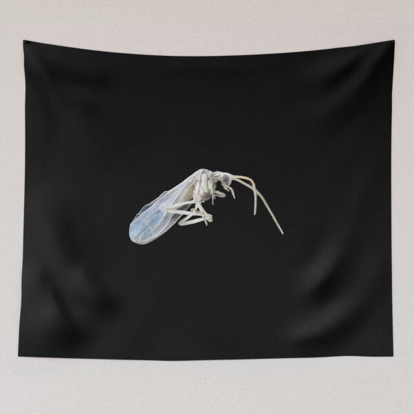 Item preview, Dustywing (Coniopterygidae) designed and sold by SDym Photography.